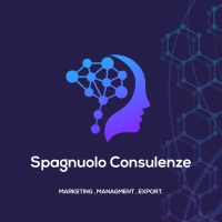 Logo Spagnuolo Consulenze